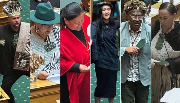 Pāti Māori议员们是如何在议会开幕式上宣誓效忠的